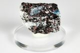 Blue Kyanite & Garnet in Biotite-Quartz Schist - Russia #178938-1
